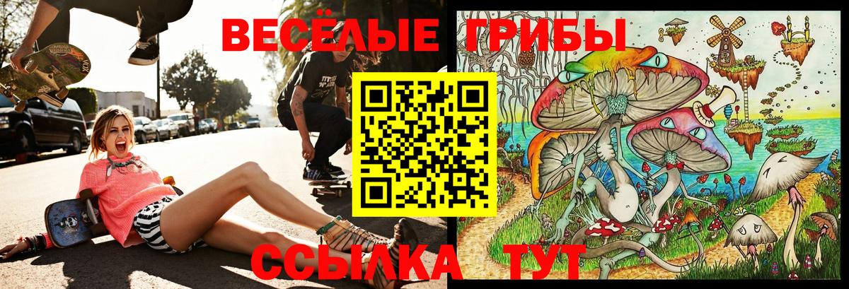 Донецк  Псилоцибиновые грибы мицелий  Вход с VPN 